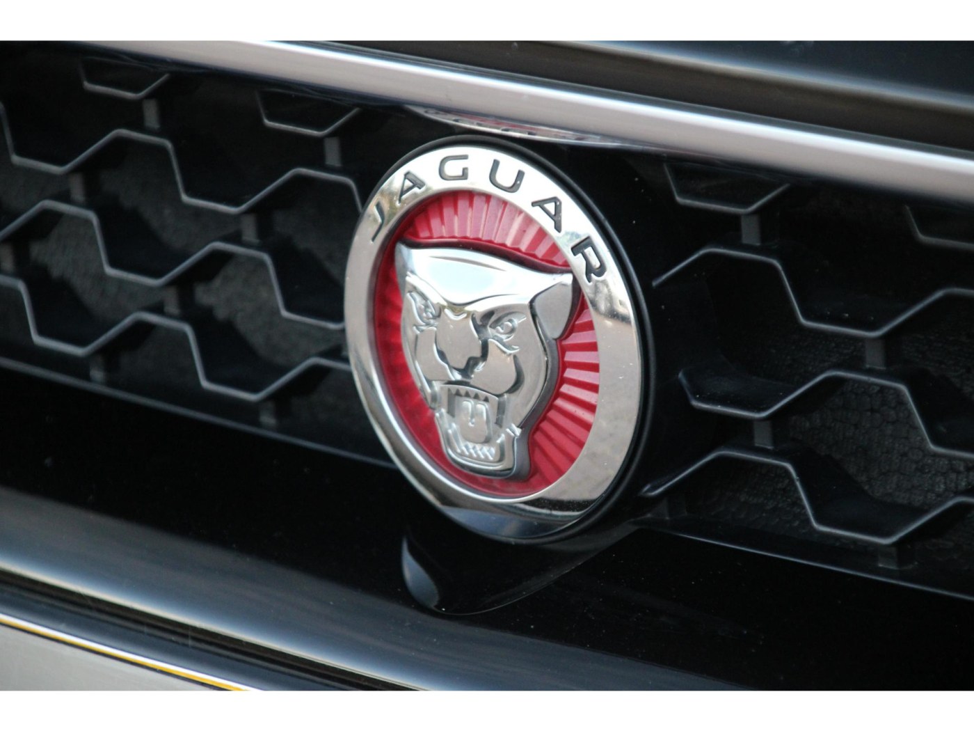Jaguar F-Type P340 R-Dynamic | NL-auto | Drive pack | 20 inch | — foto 50 van 50