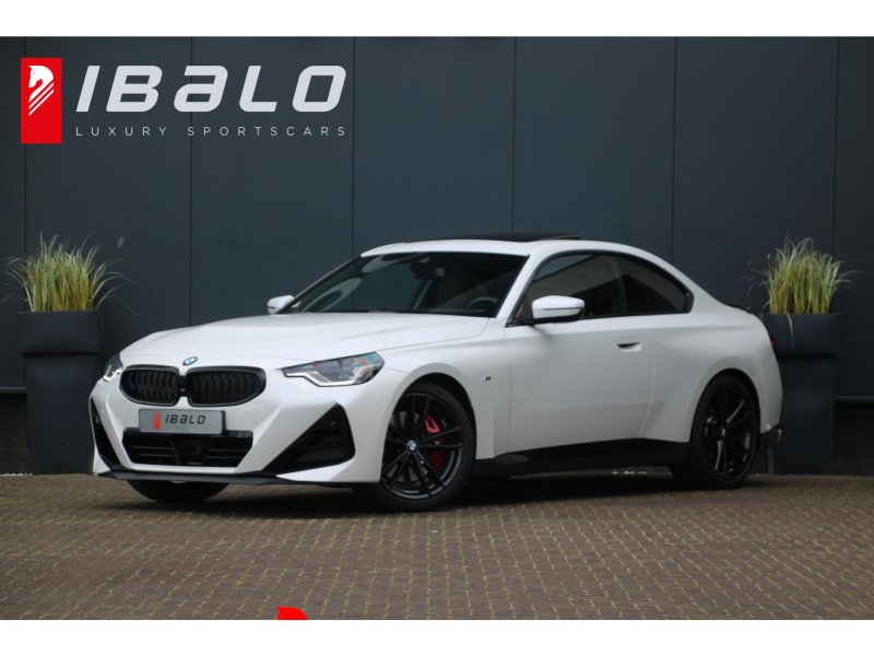 BMW BMW 2-serie Coupé 220i
