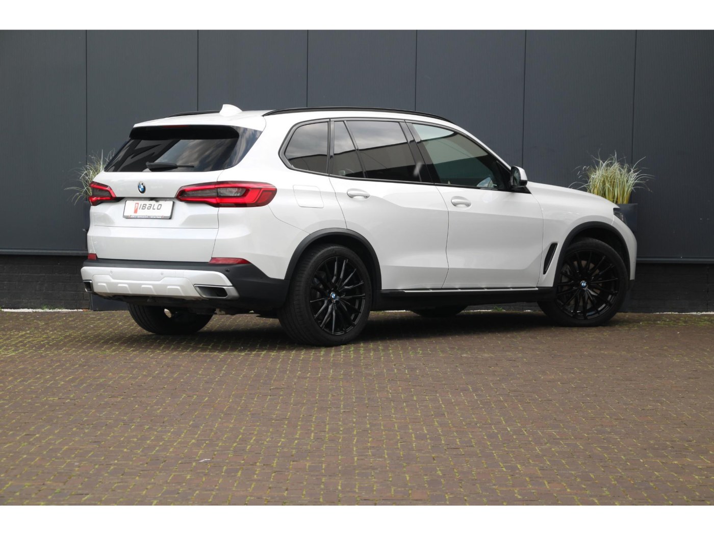 BMW X5 xDrive45e X-Line | Bowers&Wilkins | Individual | — foto 5 van 66