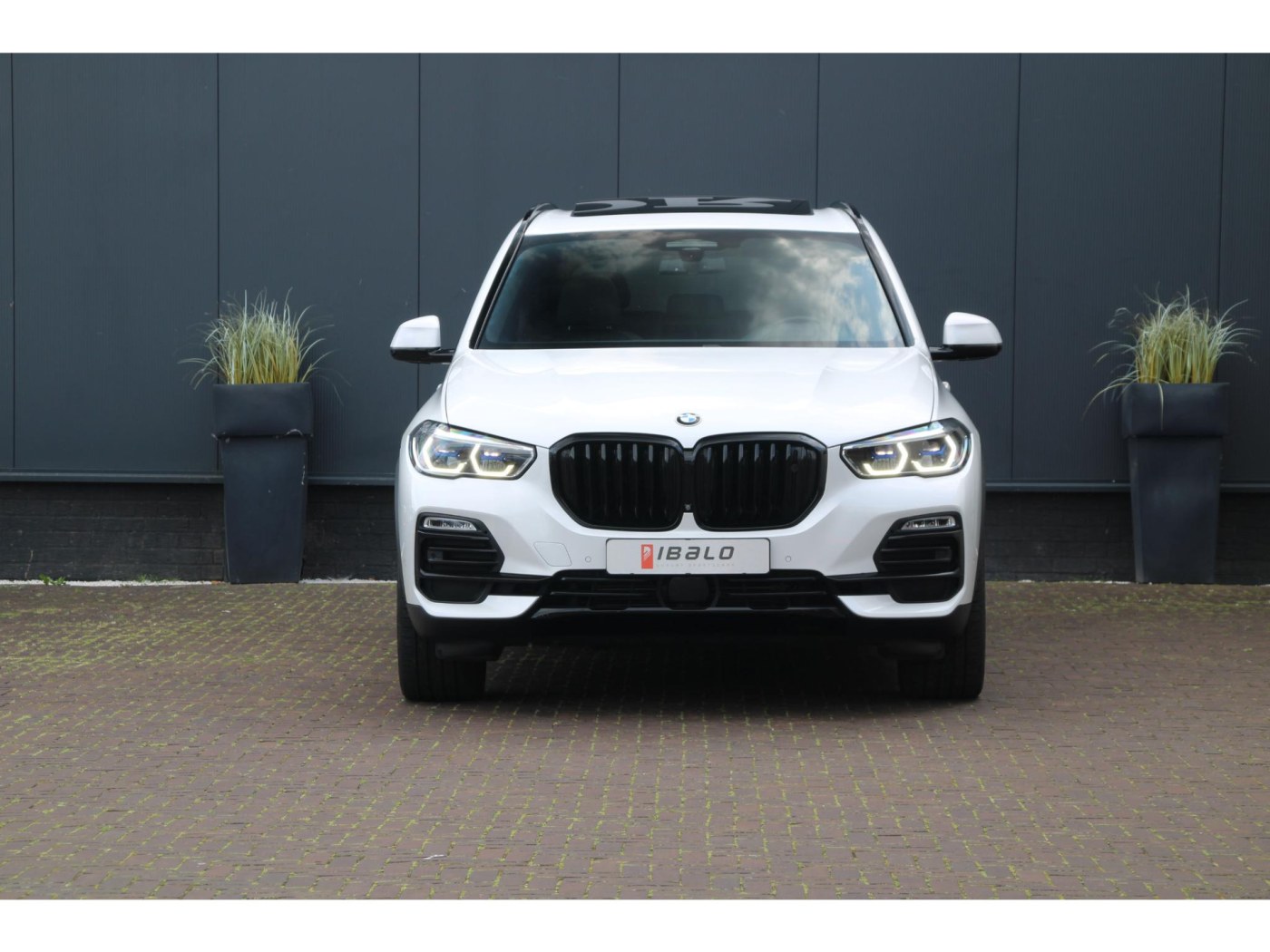 BMW X5 xDrive45e X-Line | Bowers&Wilkins | Individual | — foto 2 van 66