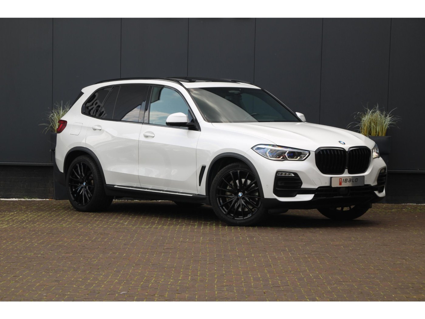 BMW X5 xDrive45e X-Line | Bowers&Wilkins | Individual | — foto 3 van 66
